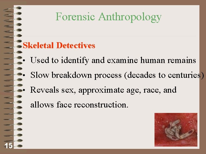 Forensic Anthropology Skeletal Detectives • Used to identify and examine human remains • Slow