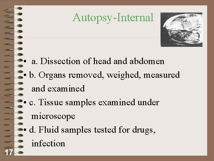 Autopsy-Internal 17 • a. Dissection of head and abdomen • b. Organs removed, weighed,