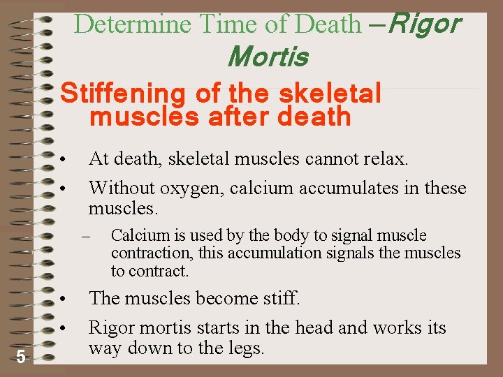 Determine Time of Death —Rigor Mortis Stiffening of the skeletal muscles after death •