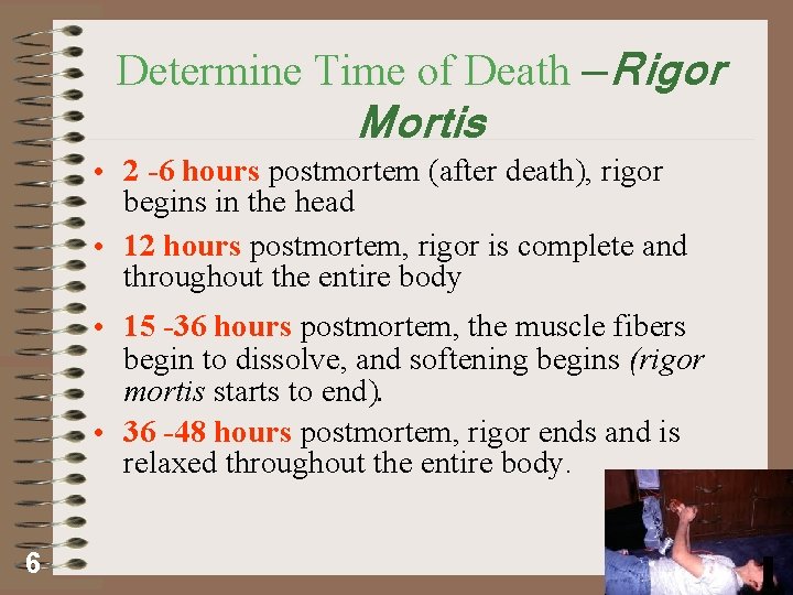 Determine Time of Death —Rigor Mortis • 2 -6 hours postmortem (after death), rigor