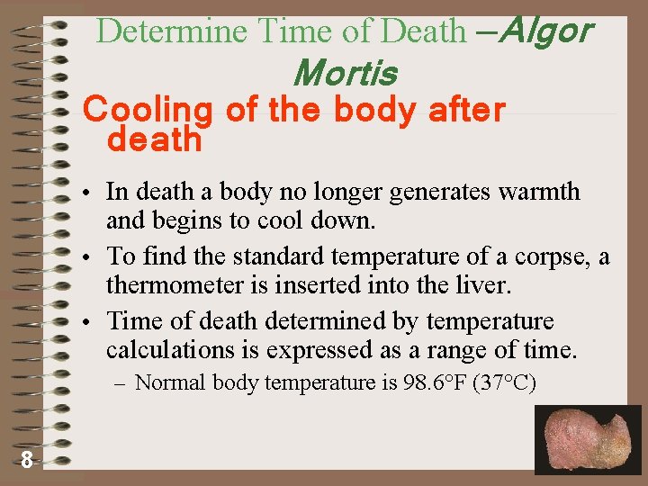 Determine Time of Death —Algor Mortis Cooling of the body after death • In