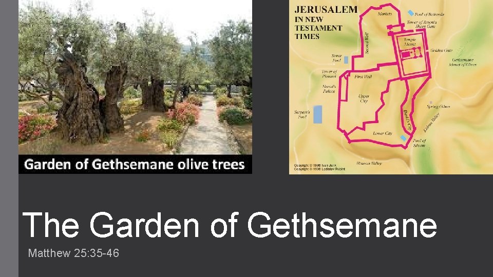 The Garden of Gethsemane Matthew 25: 35 -46 