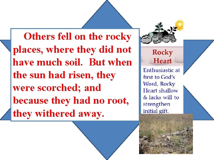 Others fell on the rocky places, where they did not have much soil. But