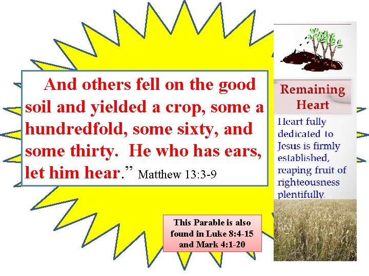 And others fell on the good soil and yielded a crop, some a hundredfold,