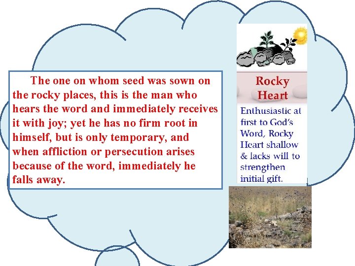 The on whom seed was sown on the rocky places, this is the man