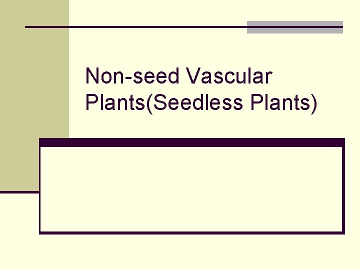 Non-seed Vascular Plants(Seedless Plants) 