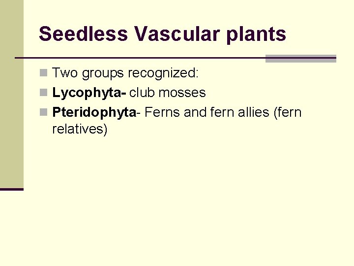 Seedless Vascular plants n Two groups recognized: n Lycophyta- club mosses n Pteridophyta- Ferns