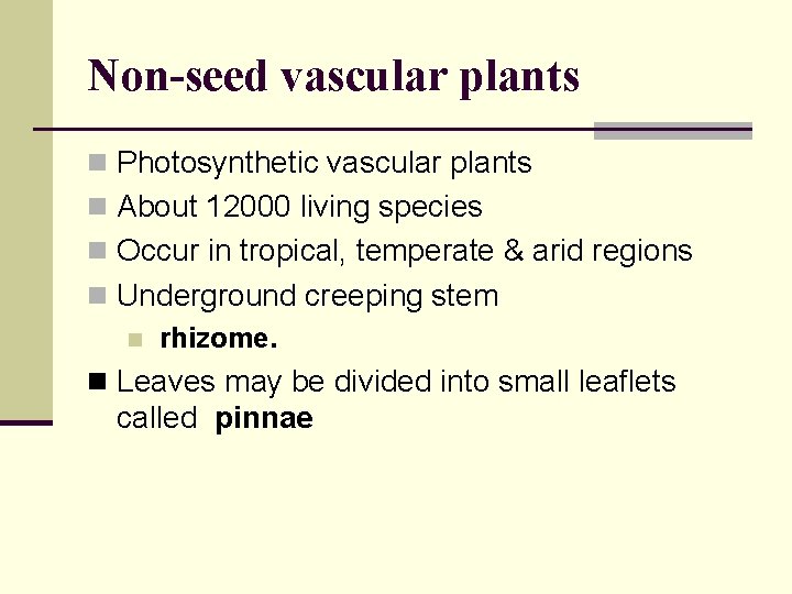Non-seed vascular plants n Photosynthetic vascular plants n About 12000 living species n Occur