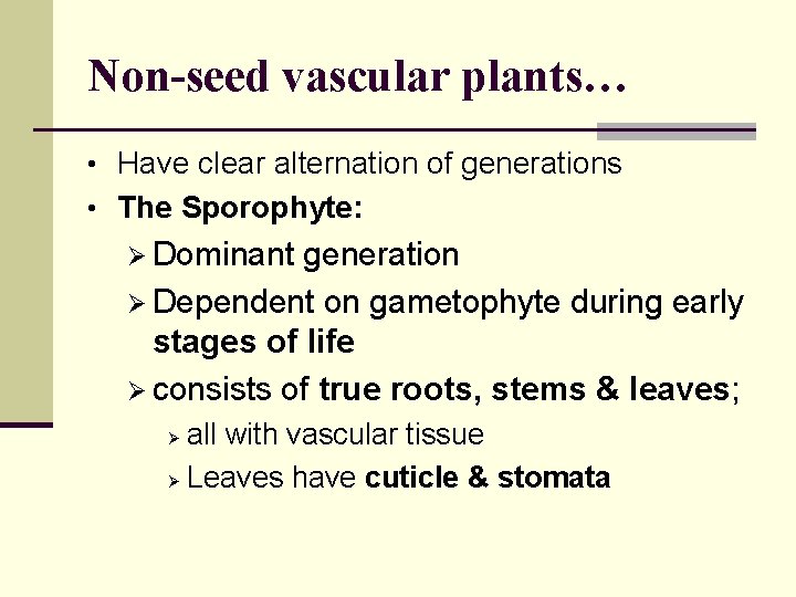 Non-seed vascular plants… • Have clear alternation of generations • The Sporophyte: Ø Dominant