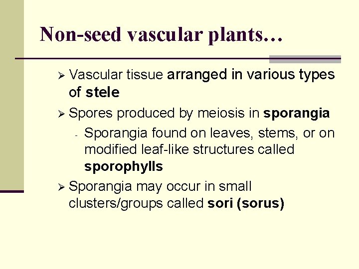 Non-seed vascular plants… Ø Vascular tissue arranged in various types of stele Ø Spores