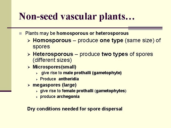 Non-seed vascular plants… n Plants may be homosporous or heterosporous Ø Ø Ø Homosporous