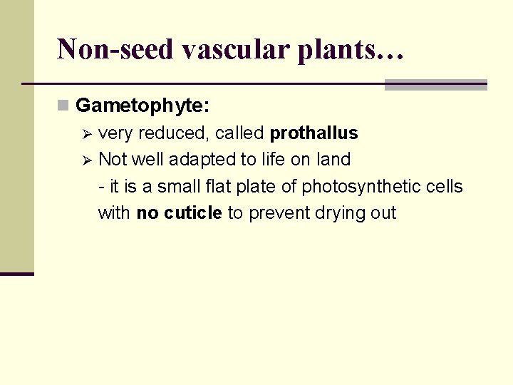 Non-seed vascular plants… n Gametophyte: Ø very reduced, called prothallus Ø Not well adapted