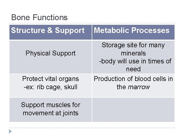Bone Health Nutrients Chapter 11 HLTH 120 N