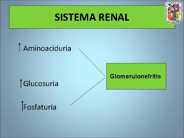 SISTEMA RENAL Aminoaciduria Glucosuria Fosfaturia Glomerulonefritis 