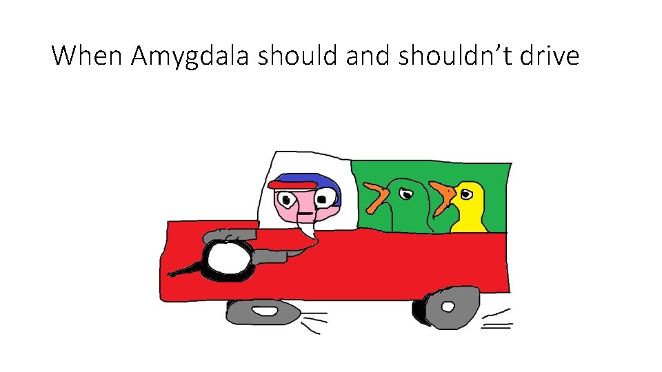 When Amygdala should and shouldn’t drive When Amygdala should and shouldn’t drive