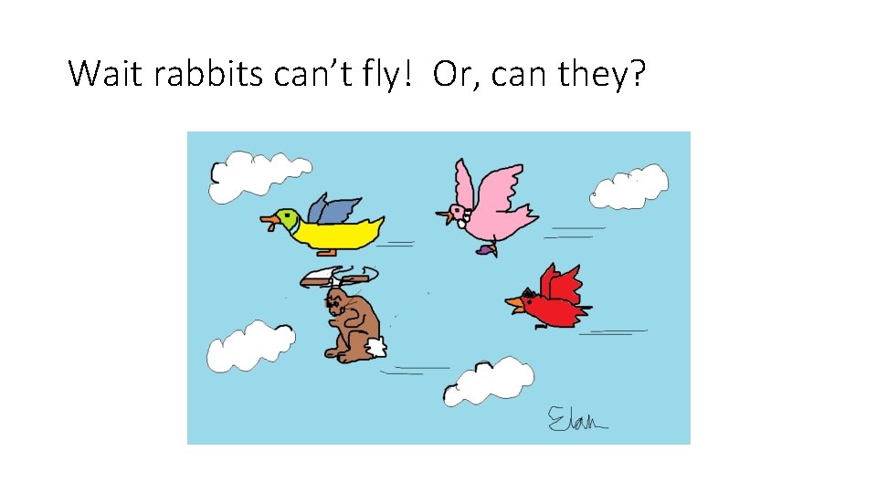 Wait rabbits can’t fly! Or, can they? Wait rabbits can’t fly! Or, can they?