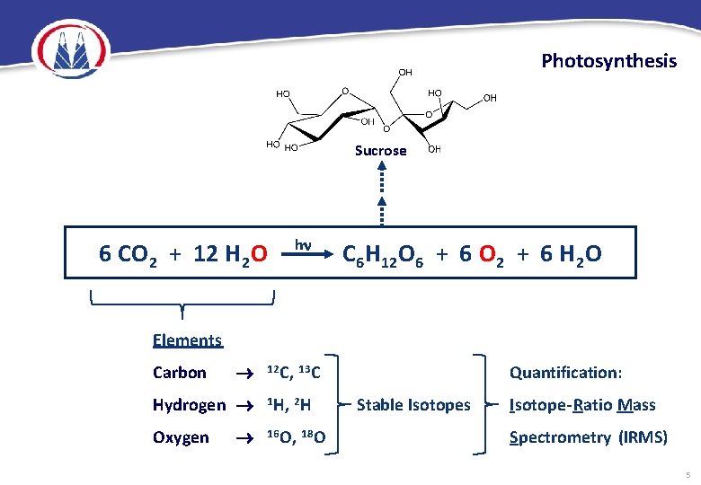 Photosynthesis Sucrose 6 CO 2 + 12 H 2 O h C 6 H
