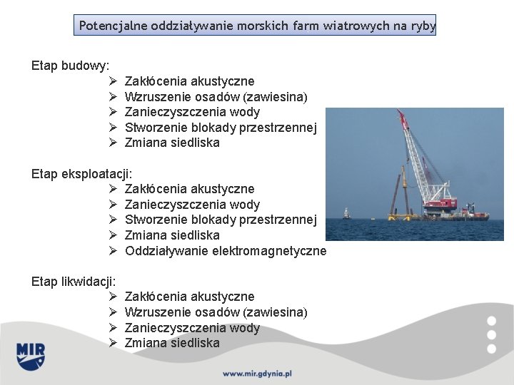 Potencjalne oddziaływanie morskich farm wiatrowych na ryby Etap budowy: Ø Ø Ø Zakłócenia akustyczne