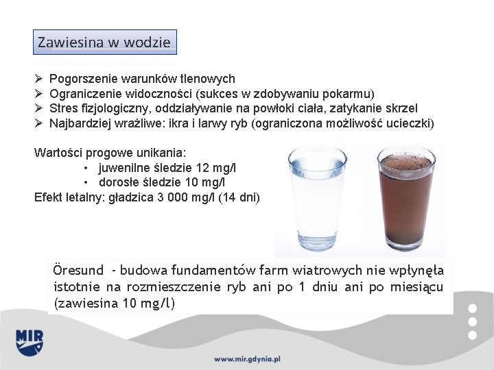 Zawiesina w wodzie Ø Ø Pogorszenie warunków tlenowych Ograniczenie widoczności (sukces w zdobywaniu pokarmu)