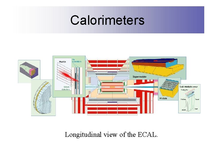 Calorimeters Longitudinal view of the ECAL. 