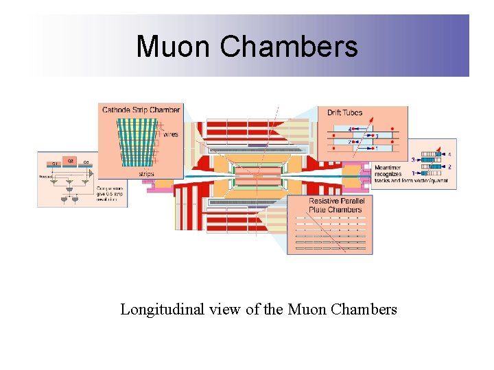 Muon Chambers Longitudinal view of the Muon Chambers 