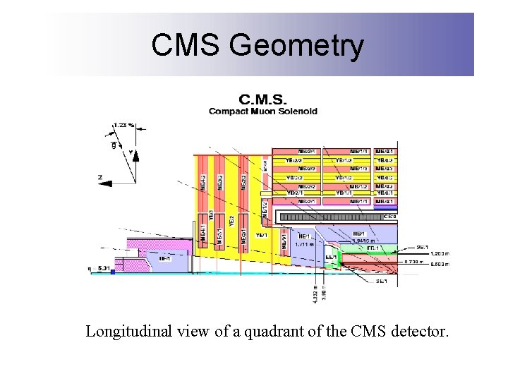 CMS Geometry Longitudinal view of a quadrant of the CMS detector. 