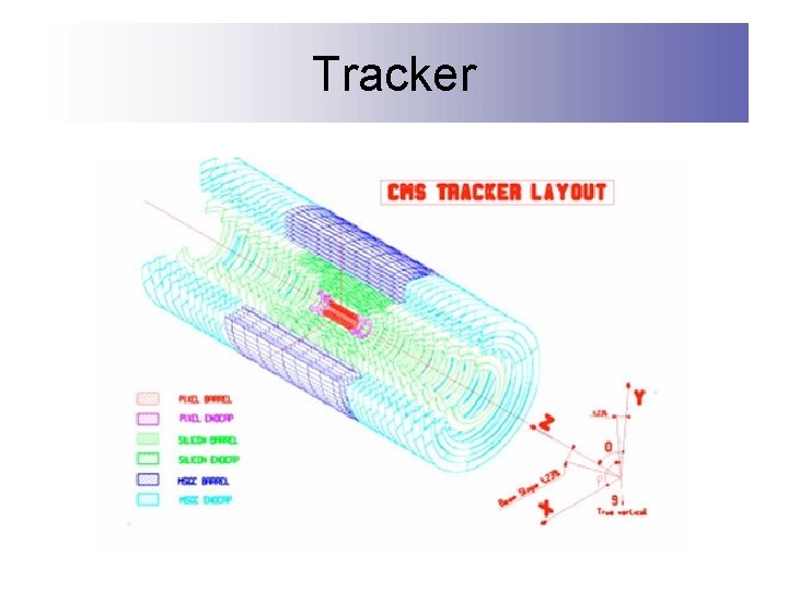 Tracker 