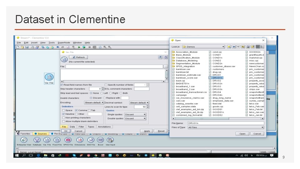 Dataset in Clementine 9 