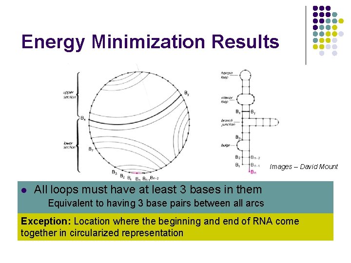 Energy Minimization Results Images – David Mount l l Linear RNA strand folded back