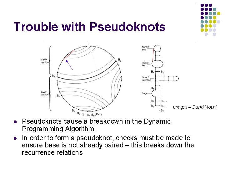 Trouble with Pseudoknots Images – David Mount l l Pseudoknots cause a breakdown in