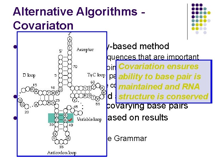 Alternative Algorithms Covariaton l Incorporates Similarity-based method l l Evolution maintains sequences that are