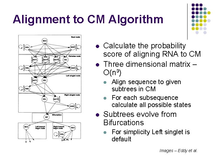 Alignment to CM Algorithm l l Calculate the probability score of aligning RNA to