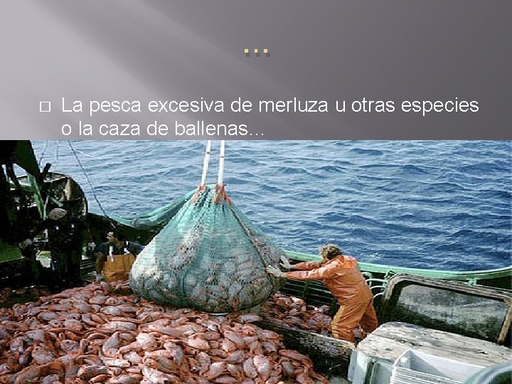 … � La pesca excesiva de merluza u otras especies o la caza de
