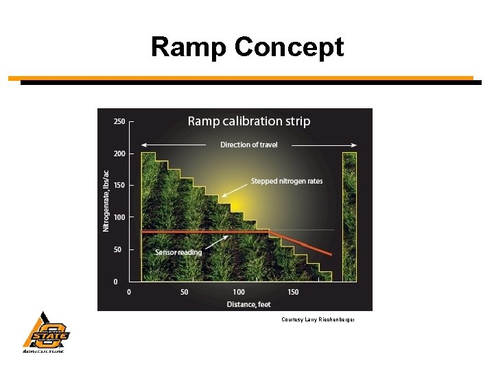 Nitrogen Ramp Determining Nitrogen Application Rates with SBNRC and RAMP