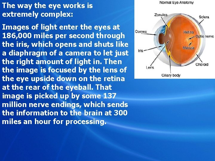 The way the eye works is extremely complex: Images of light enter the eyes