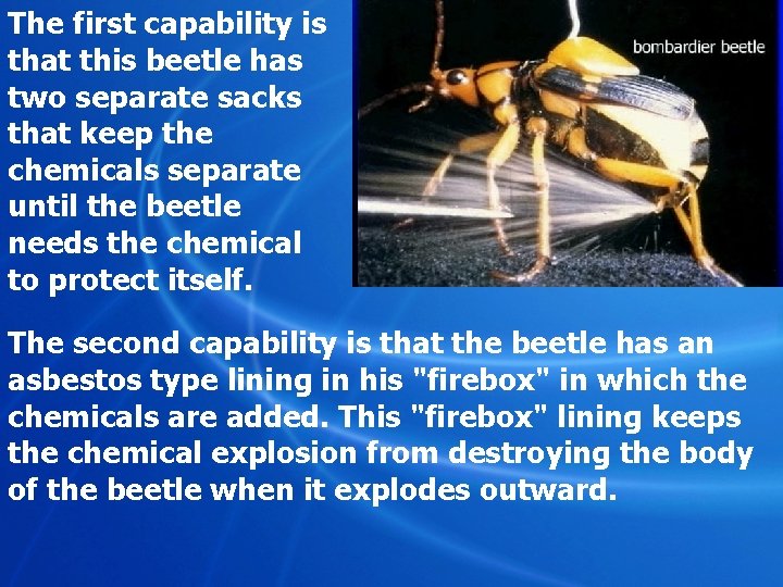 The first capability is that this beetle has two separate sacks that keep the