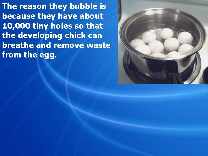 The reason they bubble is because they have about 10, 000 tiny holes so