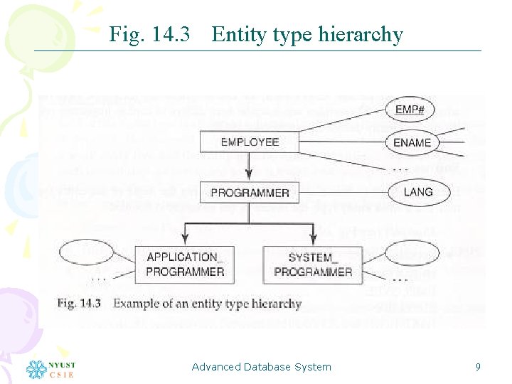 Fig. 14. 3 Entity type hierarchy Advanced Database System 9 