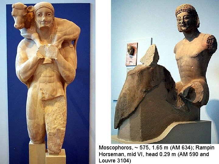 Moscophoros, ~ 575, 1. 65 m (AM 634); Rampin Horseman, mid VI, head 0.