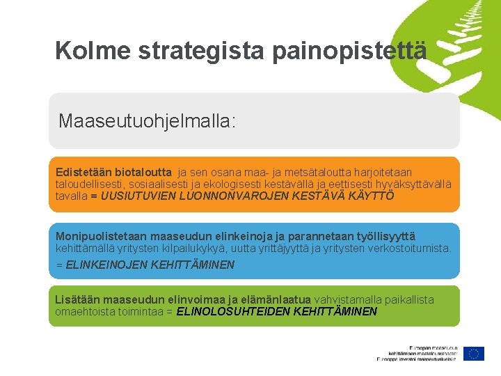 Kolme strategista painopistettä Maaseutuohjelmalla: Edistetään biotaloutta ja sen osana maa- ja metsätaloutta harjoitetaan taloudellisesti,