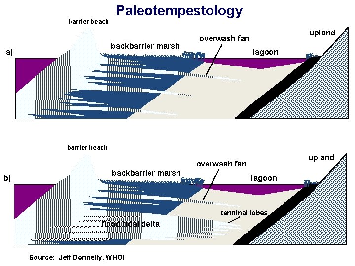 barrier beach Paleotempestology backbarrier marsh a) upland overwash fan lagoon barrier beach upland overwash