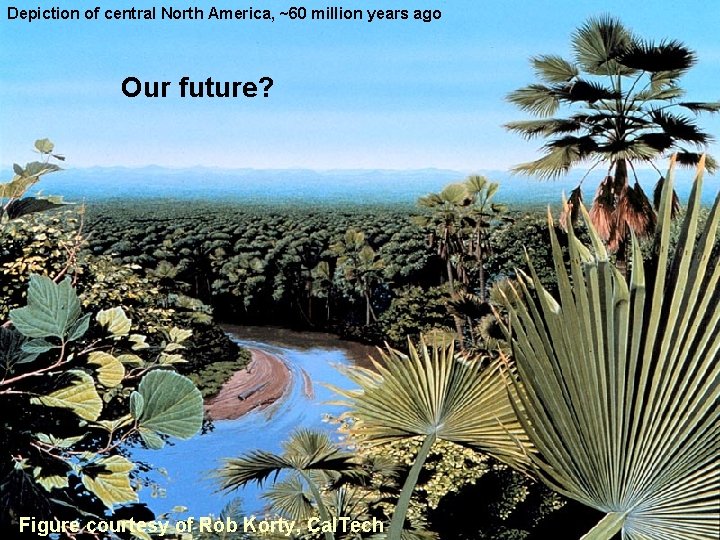 Depiction of central North America, ~60 million years ago Our future? Figure courtesy of