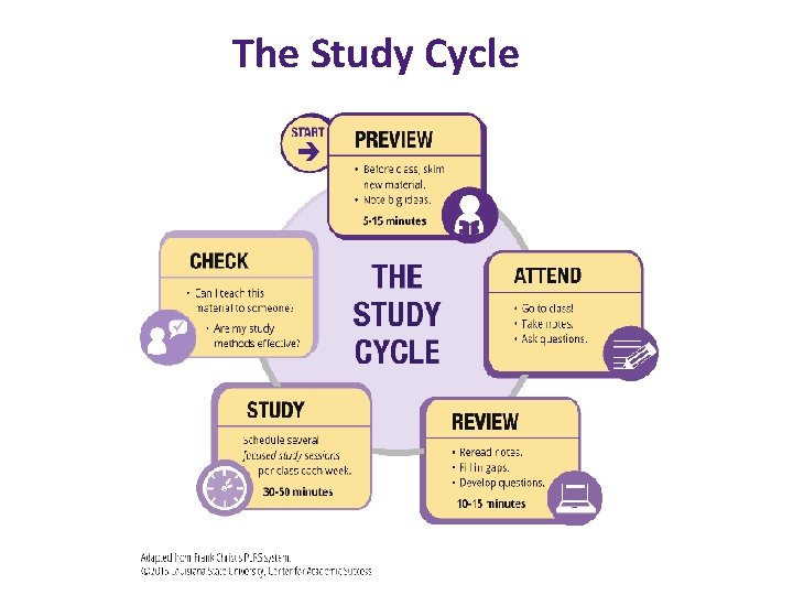 The Study Cycle 