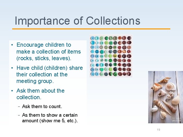 Importance of Collections • Encourage children to make a collection of items (rocks, sticks,