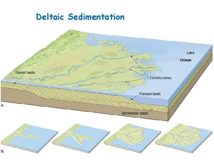 Deltaic Sedimentation Ocean 