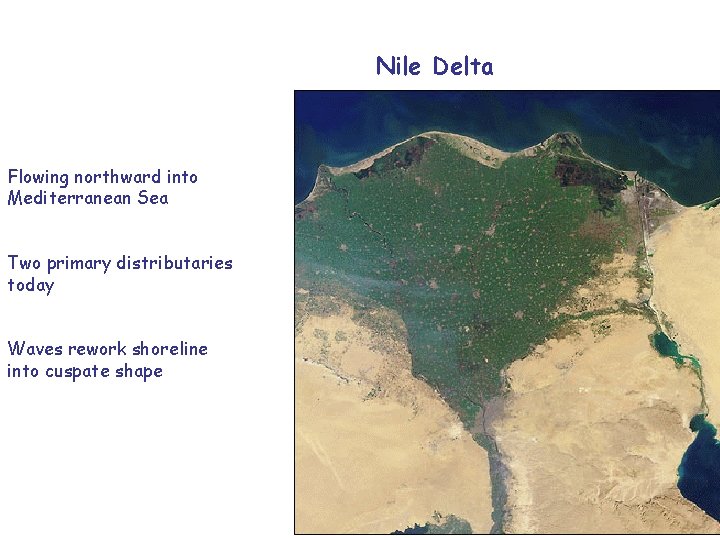 Nile Delta Flowing northward into Mediterranean Sea Two primary distributaries today Waves rework shoreline