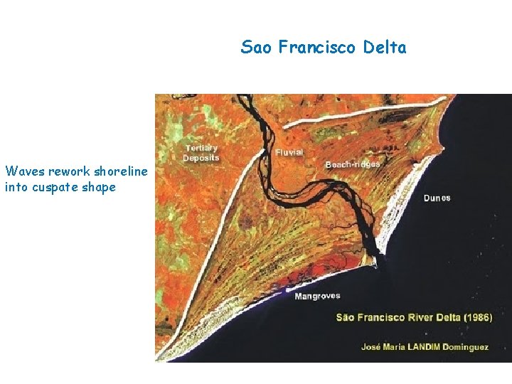 Sao Francisco Delta Waves rework shoreline into cuspate shape 