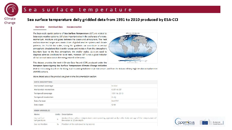 Sea Climate Change surface temperature Sea surface temperature daily gridded data from 1991 to