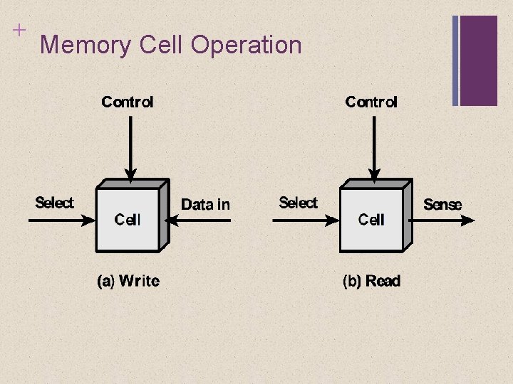 + Memory Cell Operation 