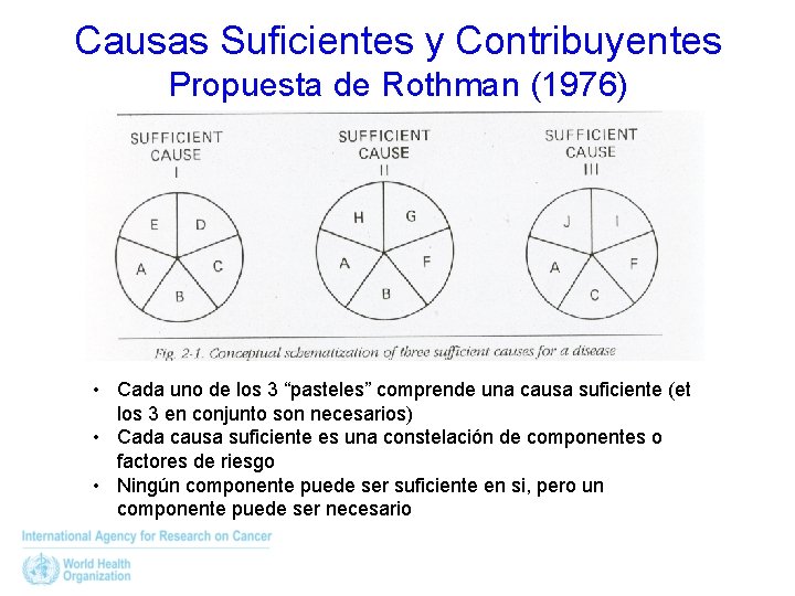 Causas Suficientes y Contribuyentes Propuesta de Rothman (1976) • Cada uno de los 3